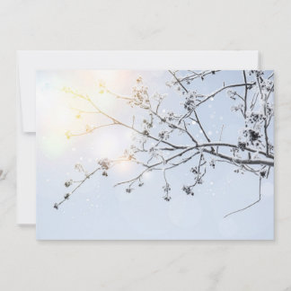 Winter Wonderland von Uname_