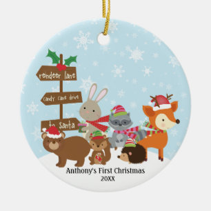 Winter Woodland Animals Baby's First Christmas Keramik Ornament