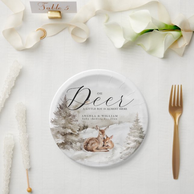 Winter Woodland Oh Deer Theme Baby Boy Dusche Pappteller (Hochzeit)