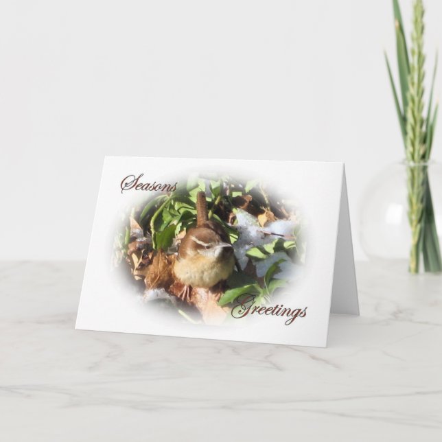 Winter-Zaunkönig Feiertagskarte (Vorderseite)