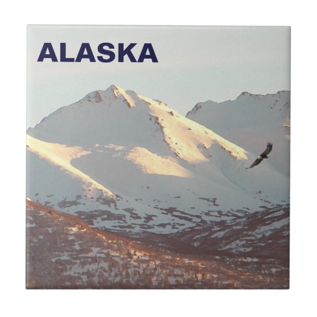 Winteradler Fliese (Vorderseite)