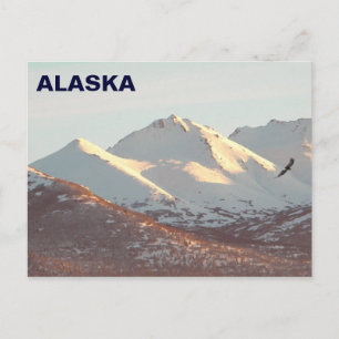 Winteradler Postkarte