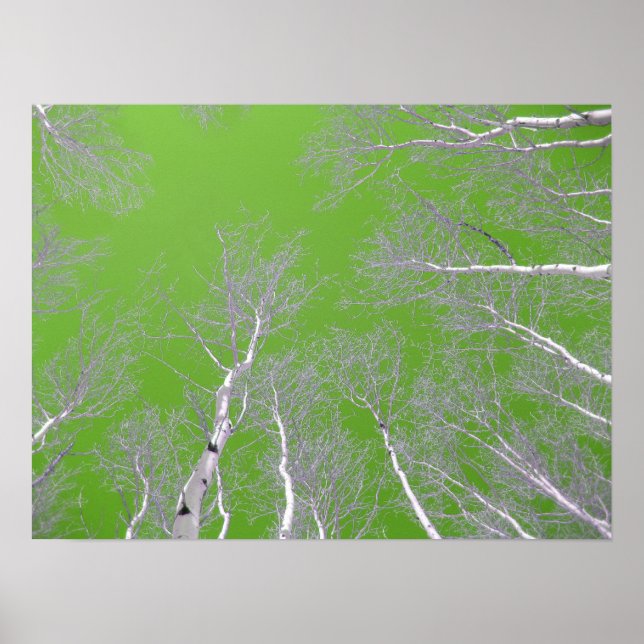 WinterAspen-Bäume - Grüner Himmel Poster (Vorne)