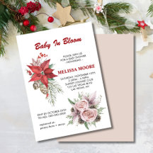 Winterbaby in blühender, rosa, blumenroter Poinset