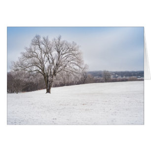 Winterbaum