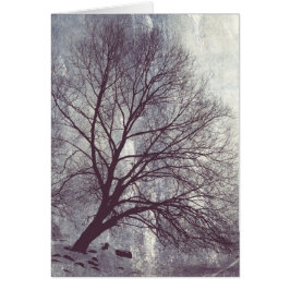 Winterbaum