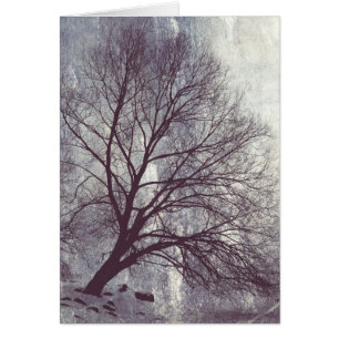 Winterbaum
