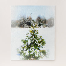 Winterbaum