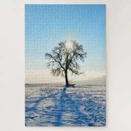 Winterbaum - -