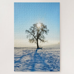 Winterbaum - -