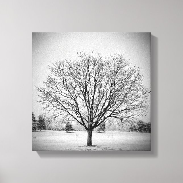 Winterbaum auf Leinwand (Vorderseite)