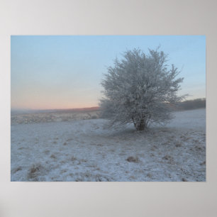 Winterbaum bei Sonnenaufgang Poster