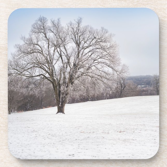 Winterbaum Getränkeuntersetzer (Vorderseite)