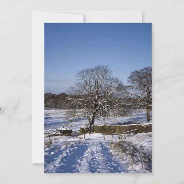 Winterbaum Lyme Park Ferienkarte Feiertagskarte (Vorderseite)
