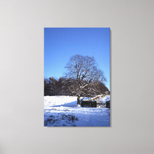 Winterbaum Lyme Park Ferienkarte Leinwanddruck