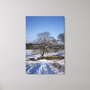 Winterbaum Lyme Park Ferienkarte Leinwanddruck