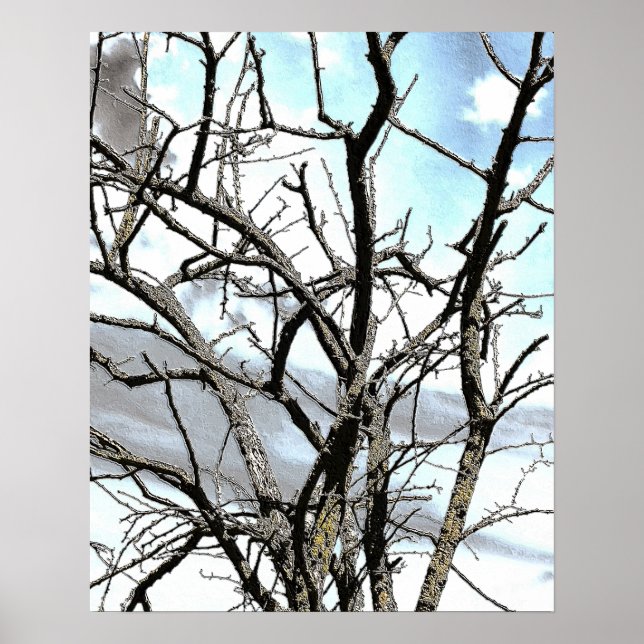 WINTERBAUM POSTER (Vorne)