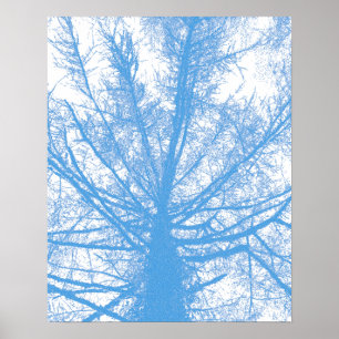 WINTERBAUM POSTER