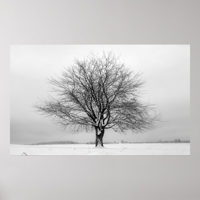 Winterbaum Poster (Vorne)