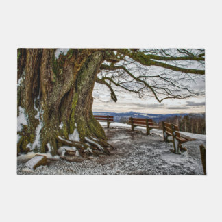 Winterbaum und Bänke Türmatte