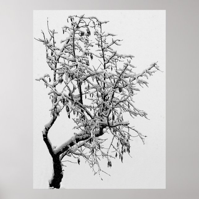 Winterbaumausdruck Poster (Vorne)