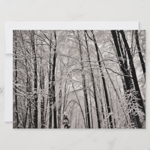 Winterbäume