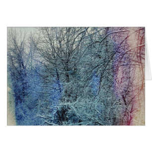 Winterbäume