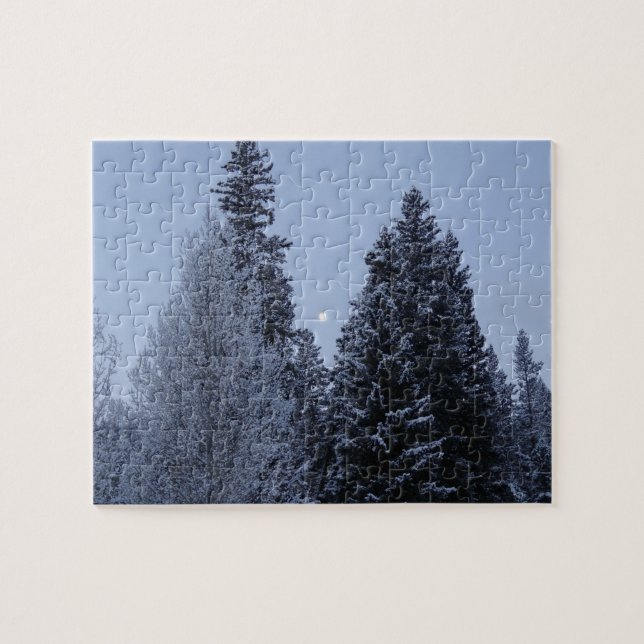 Winterbäume bei Morgengrauen Montana Landschaft (Horizontal)