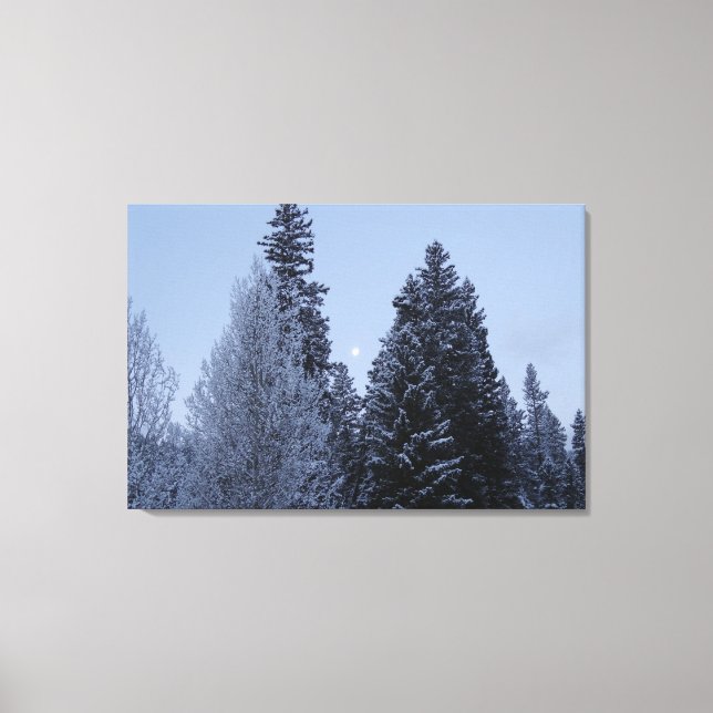 Winterbäume bei Morgengrauen Montana Landschaft Leinwanddruck (Vorderseite)