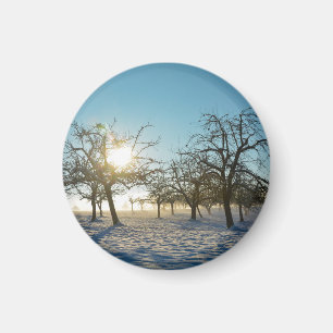 Winterbäume beim Sonnenaufgang Magnet