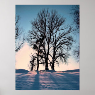 Winterbäume im dunkelblauen Himmelshintergrund Poster
