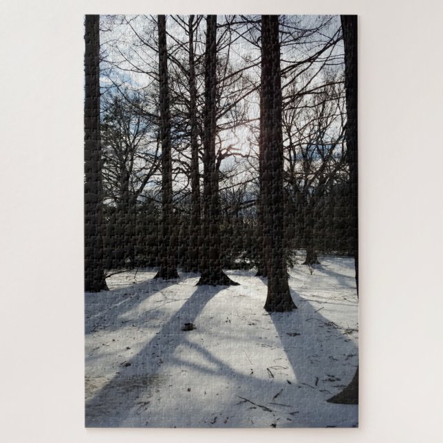 Winterbäume in Sonnenlicht und Schnee (Vertikal)