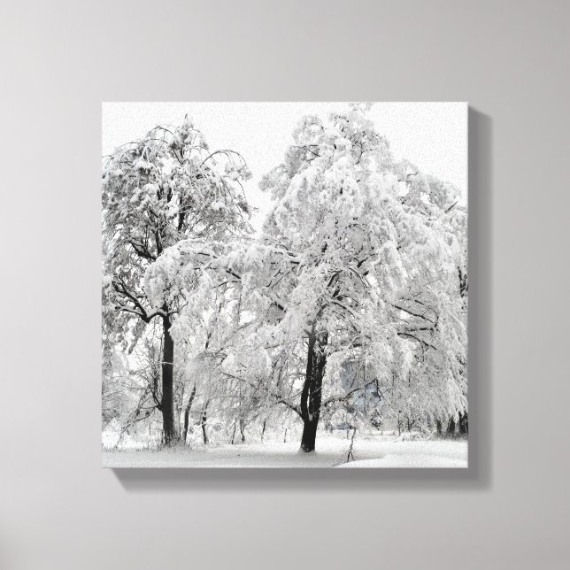 Winterbäume Leinwanddruck (Vorderseite)
