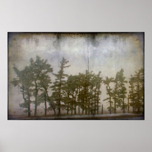 Winterbäume Poster