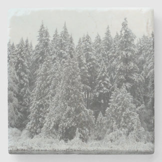 Winterbaume Steinuntersetzer