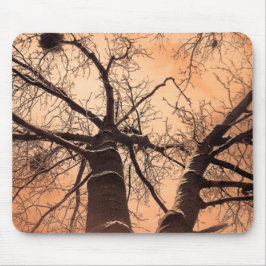 Winterbäume unten mousepad