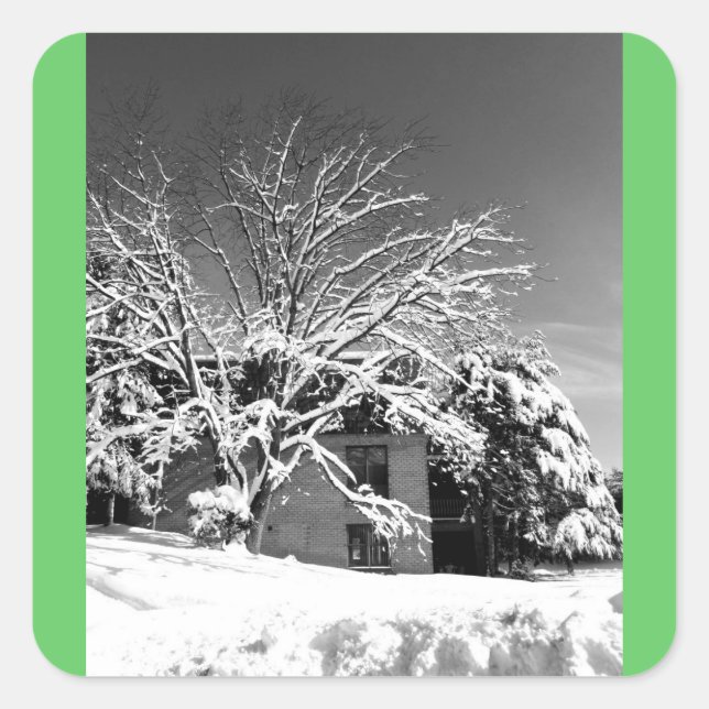 Winterblase B+W Quadratischer Aufkleber (Vorderseite)