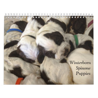 Winterborn Spinone ~ verbesserte ~ Kalender