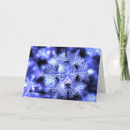 Winterborn Weihnachtskarte Feiertagskarte