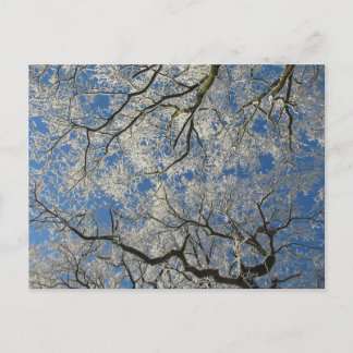 Winterdach: Cheshire Postkarte