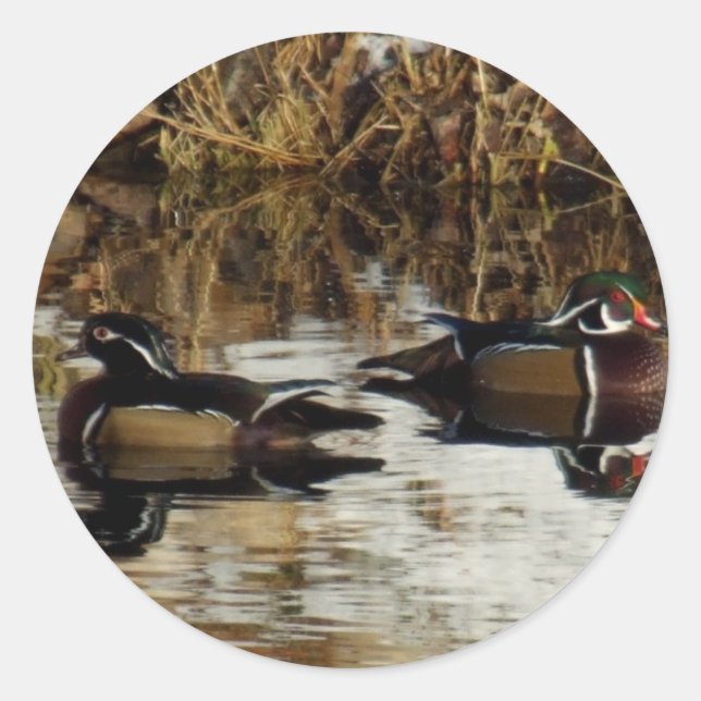 Winterducks14by1 Runder Aufkleber (Vorderseite)