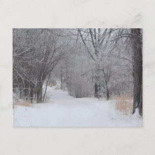 Wintereinsamkeit Postkarte