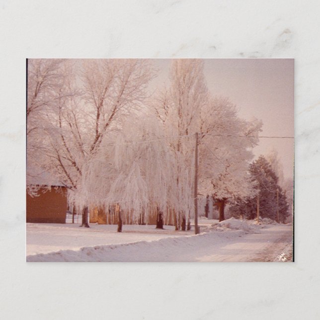 Wintereis-Postkarte Postkarte (Vorderseite)