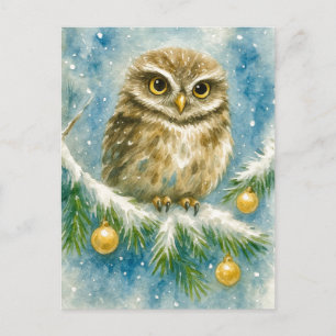 Wintereule auf schneebedecktem Ast Weihnachts-Post Feiertagspostkarte