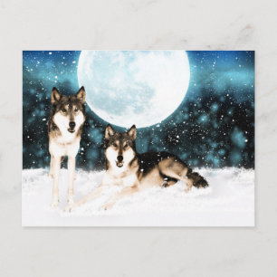 Winterfantasy Art Wolf Postkarte von Monalke