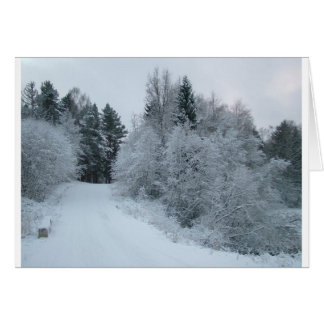 Winterfreude Schneeweg Estonia
