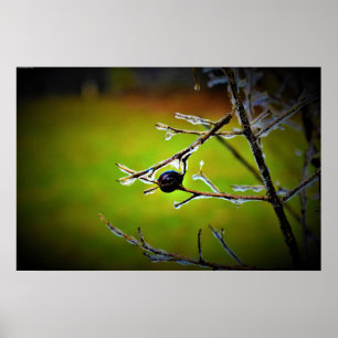 Winterfrieren, Poster