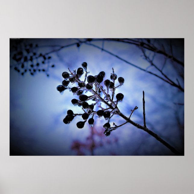 Winterfrieren, Poster (Vorne)