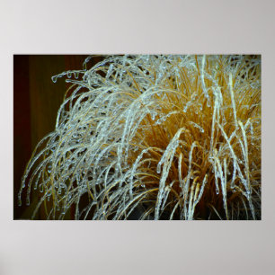 Winterfrieren, Poster