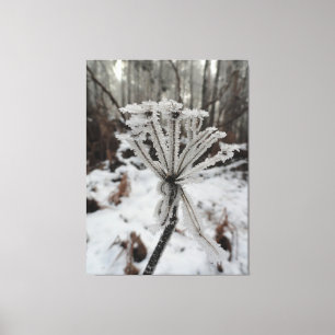 Winterfrost auf Pflanze in der Waldfotografie Leinwanddruck